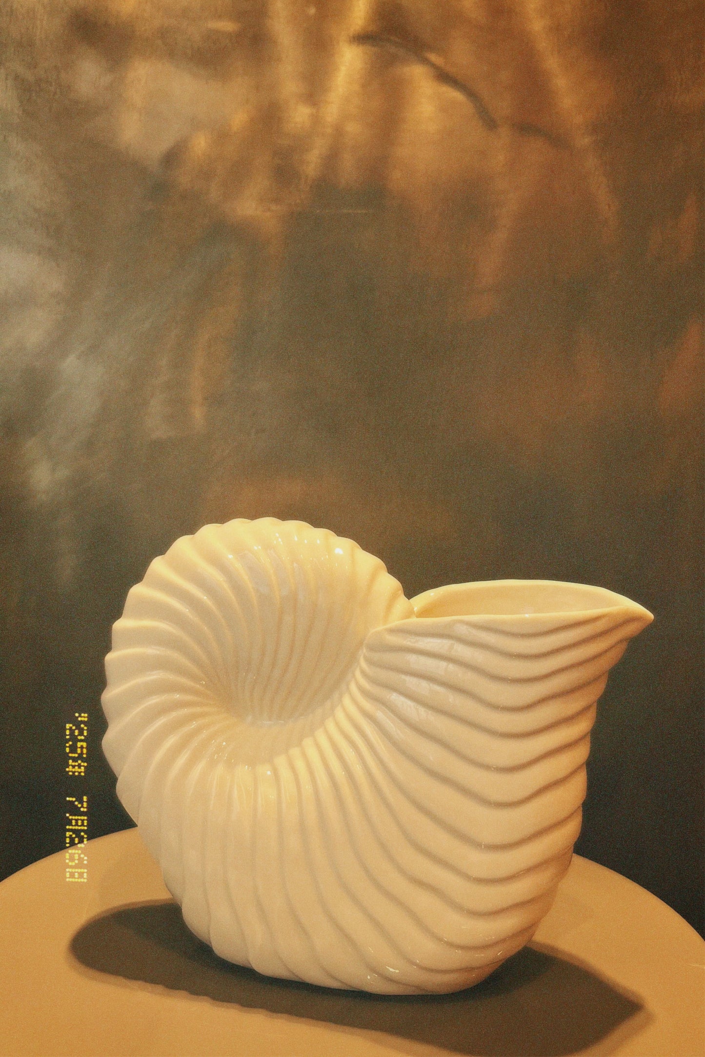 Carafe coquillages￼￼