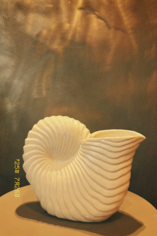 Carafe coquillages￼￼